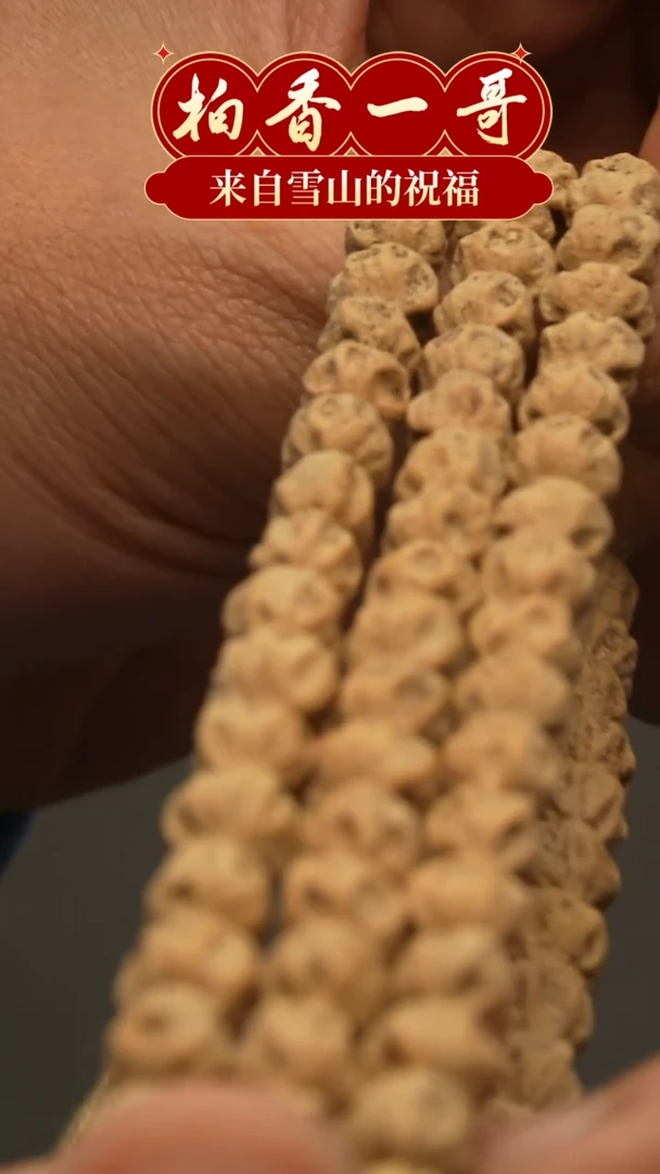 【闪购商品】柏香籽/百香籽吊坠1305