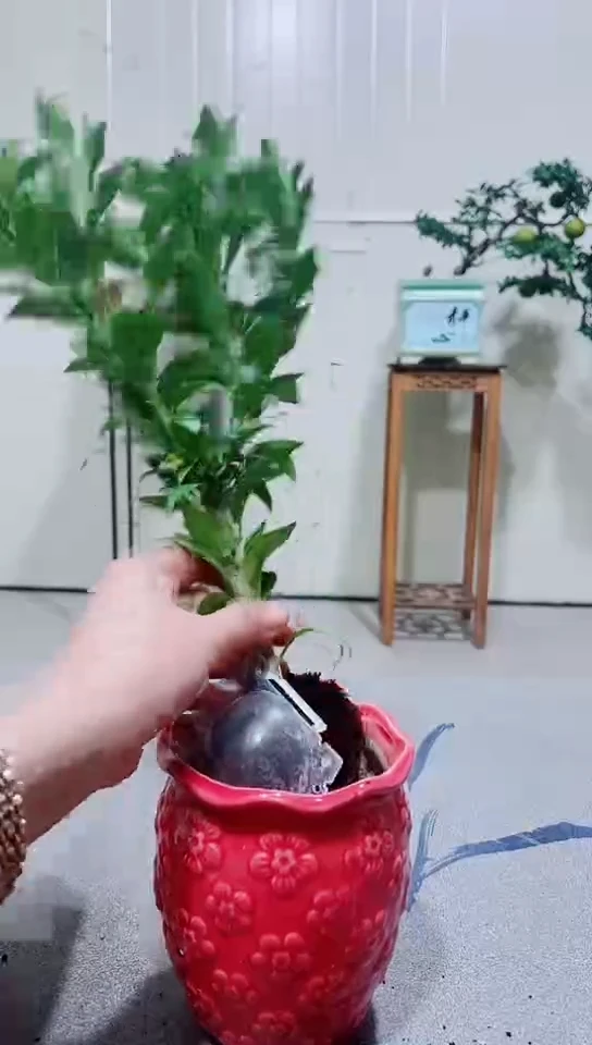 完全开放6456212321