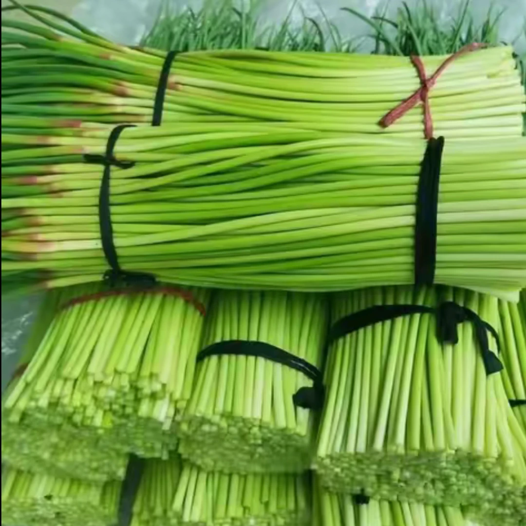 【现货速发】X.Y新鲜蔬菜蒜苔红帽新鲜精品蒜薹