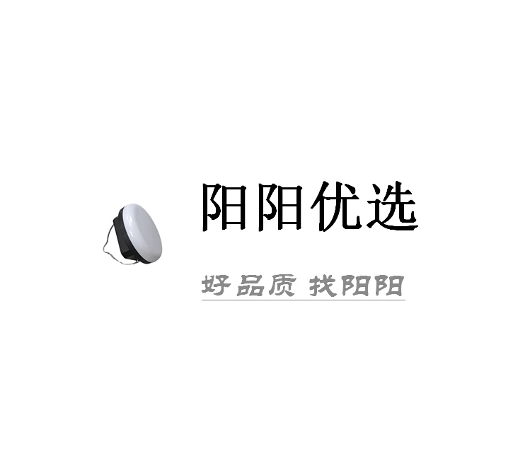 外贸品质—10W手提太阳能灯
