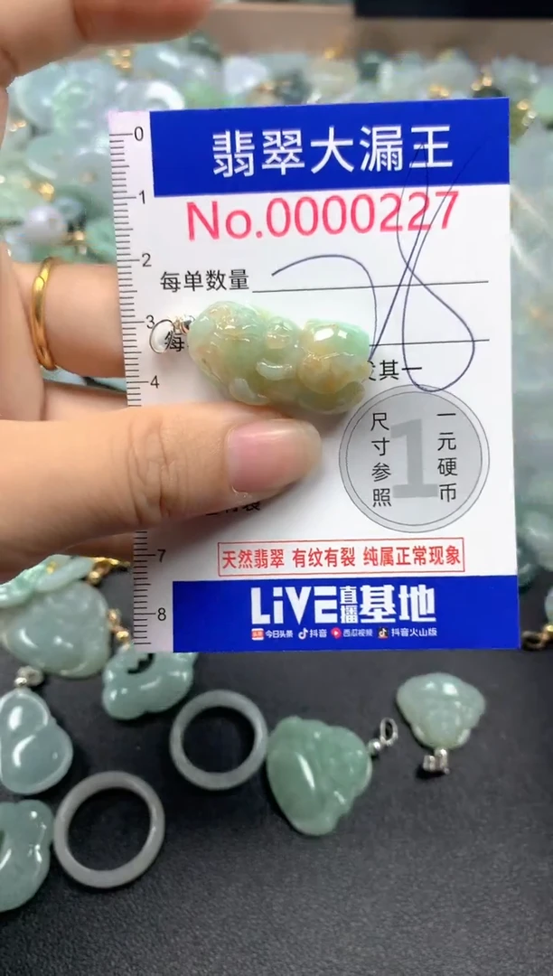 翡翠未镶嵌吊坠(不含链)227