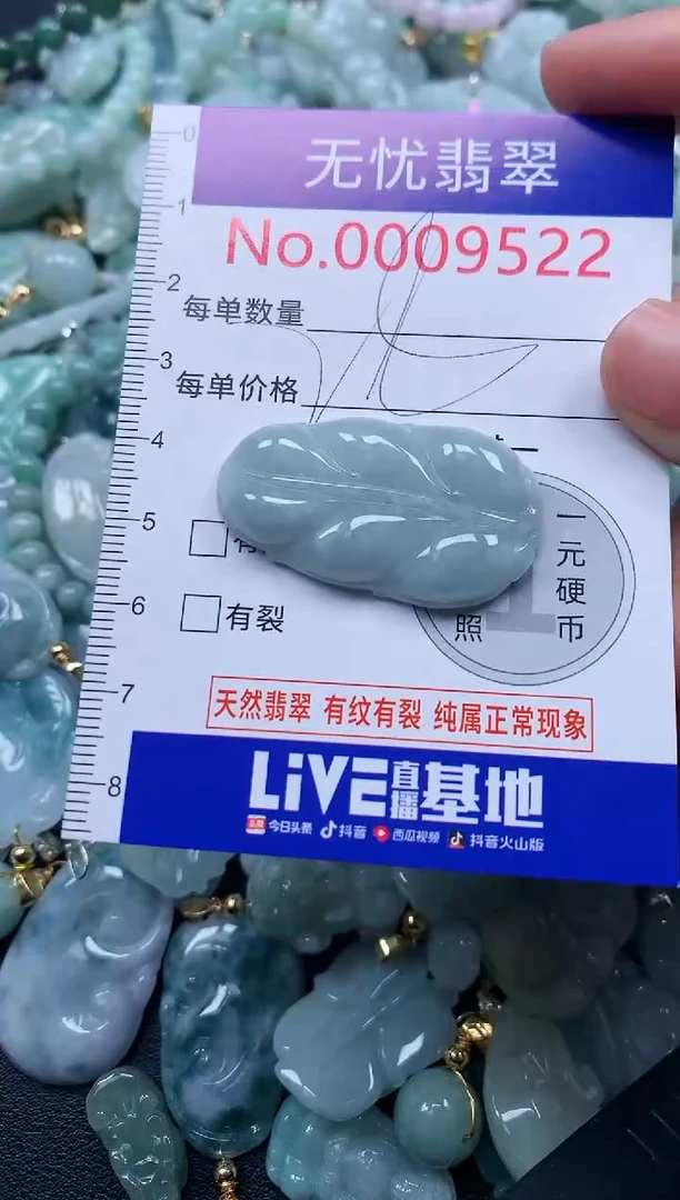 颈饰未镶嵌翡翠9522