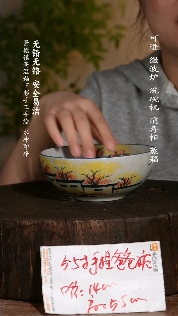 碗陶瓷景德镇高温瓷釉下彩手绘陶瓷