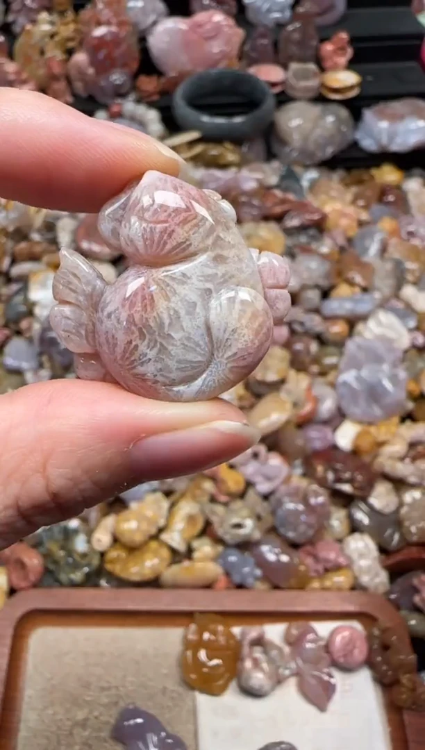 颈饰未镶嵌硅化珊瑚（珊瑚玉）826