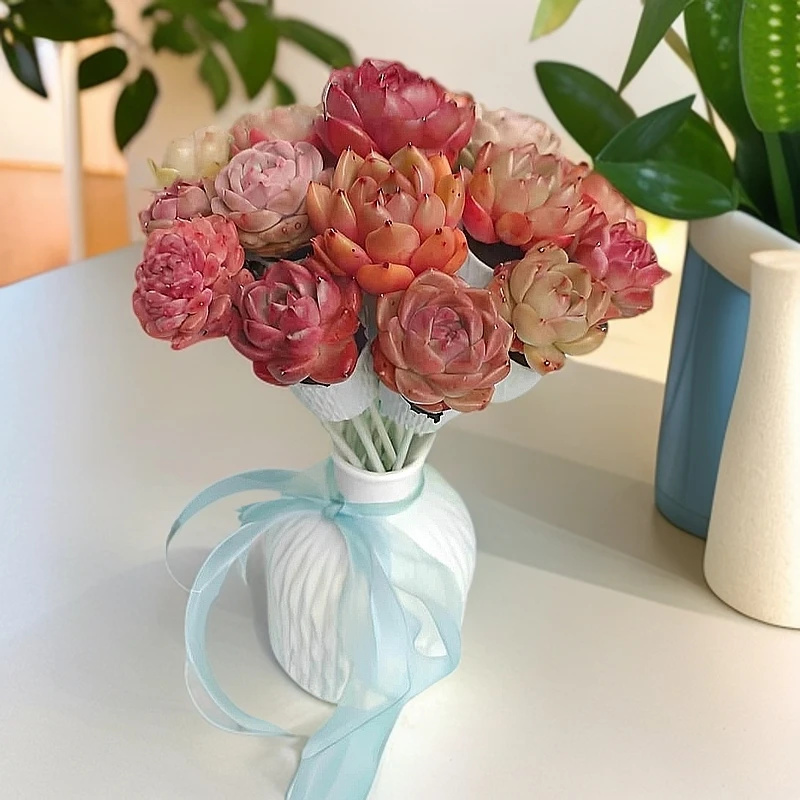 精品溏心珍妮无土多肉花束20支含花瓶花托【所见即所得】