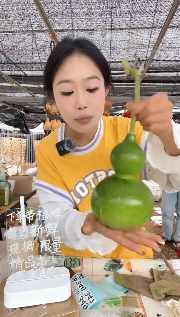 346天然葫芦摆件 一物一拍龙头不保售后