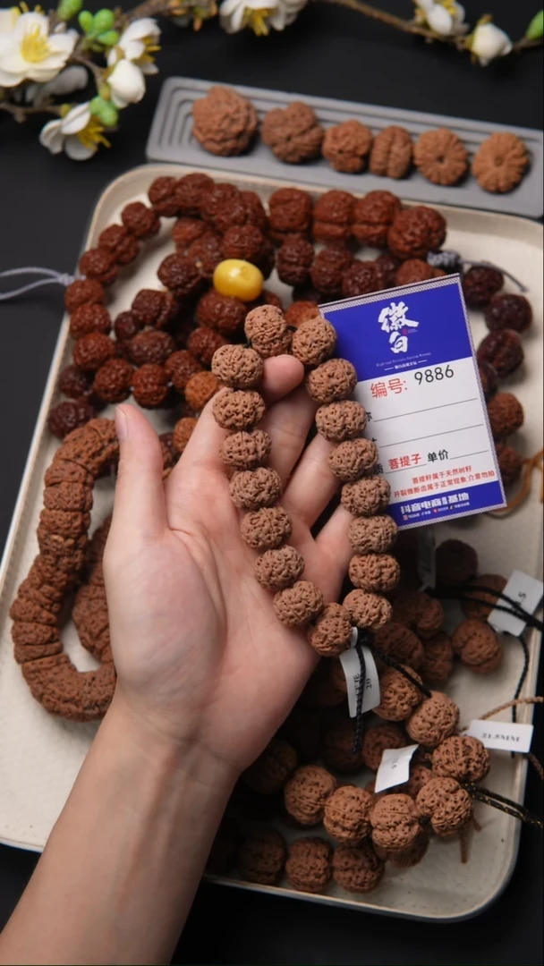 金刚菩提吊坠满****红金刚菩提9886