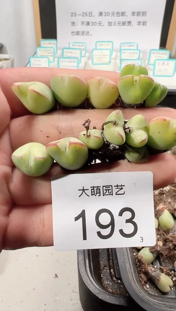 【闪购商品】++++193