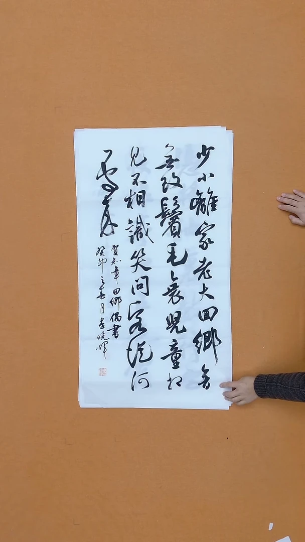 书法李晓辉 河南  48*98