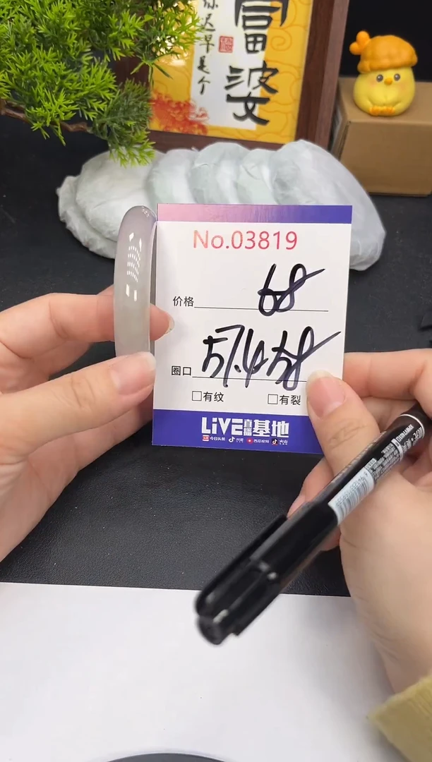 未镶嵌手镯翡翠3819