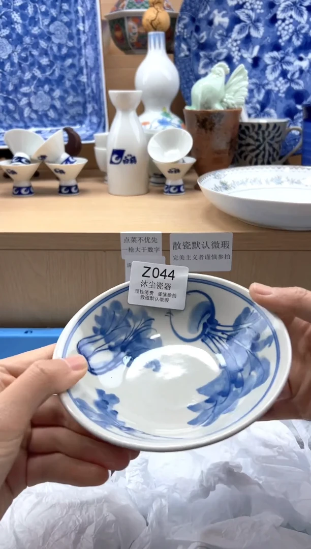 瓷片         Z044