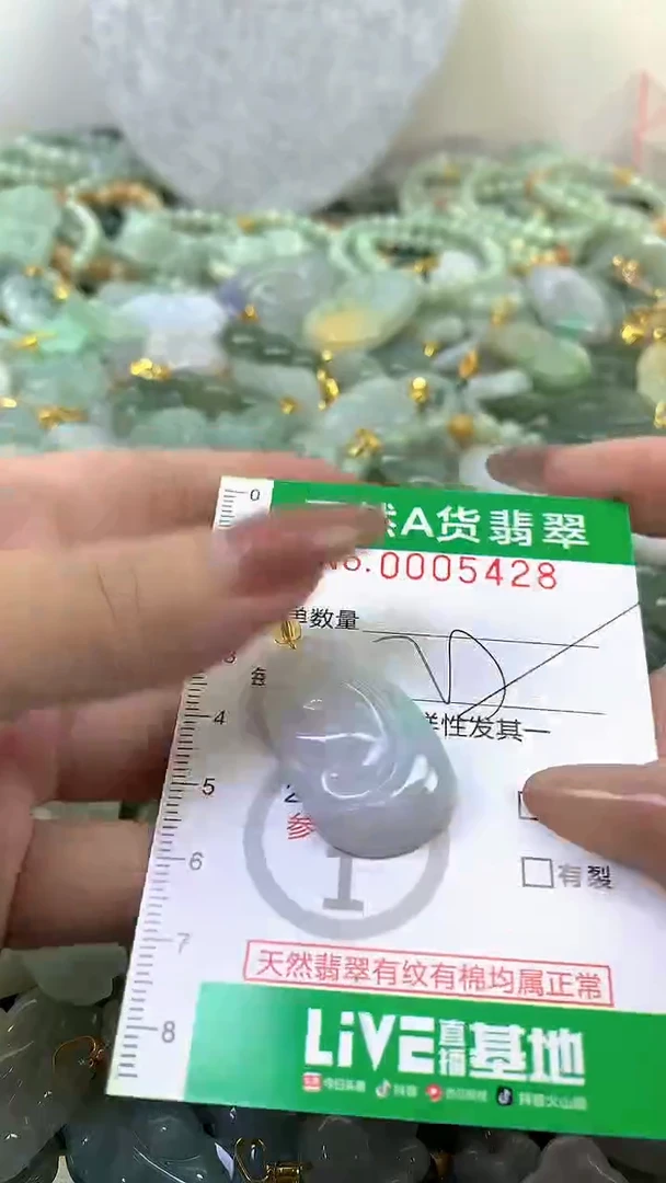 颈饰未镶嵌翡翠未镶嵌纯天然A货翡翠