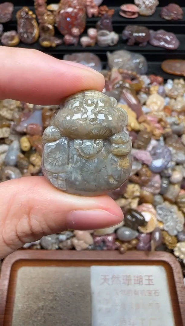 颈饰未镶嵌硅化珊瑚(珊瑚玉)261