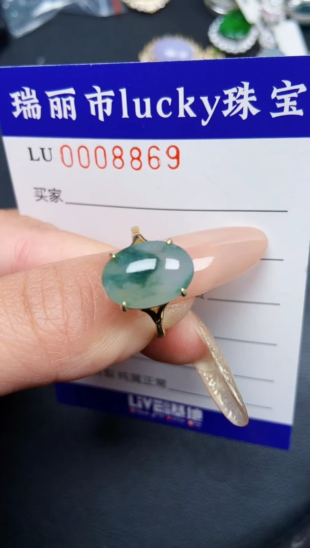 【闪购商品】翡翠颈饰银S925镶嵌8869