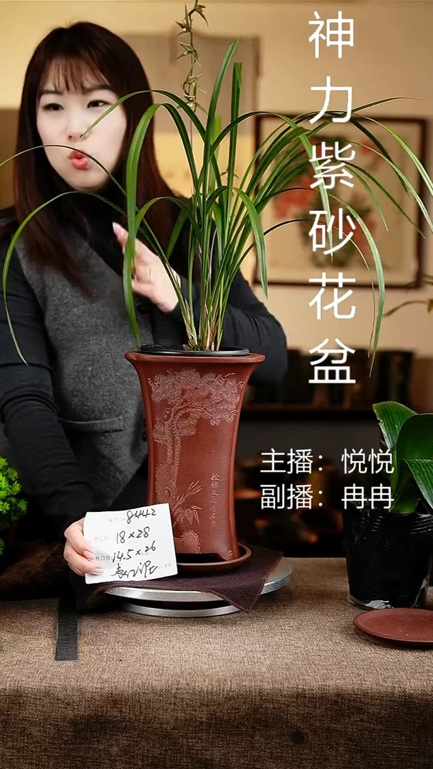 紫砂花盆花卉工艺8442+z