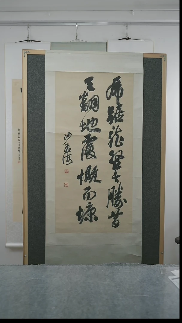 书法用****6沙老师多字书法立轴