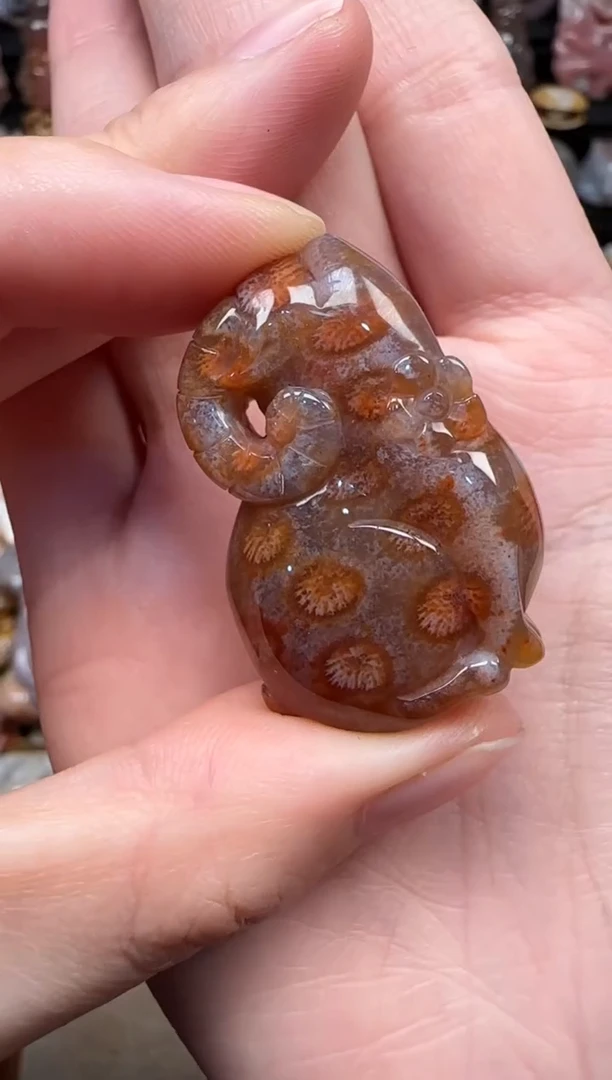 颈饰未镶嵌硅化珊瑚（珊瑚玉）824