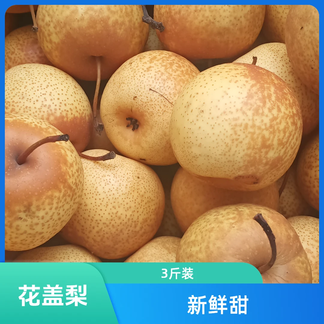 花盖梨约1500克新鲜梨多汁甜酸可口今9.8元