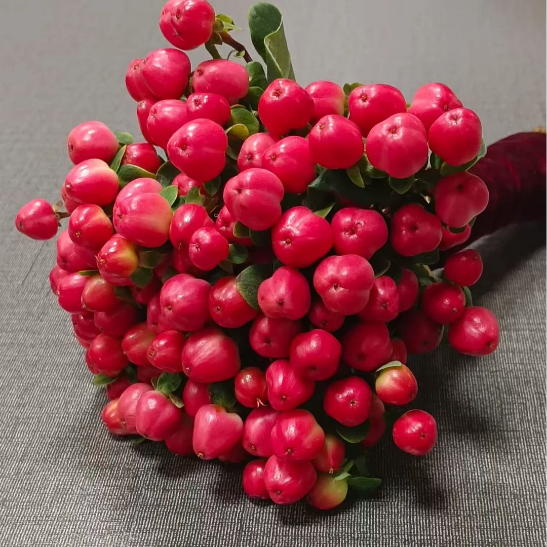 红豆  1扎任意2单鲜花升级顺丰/德邦