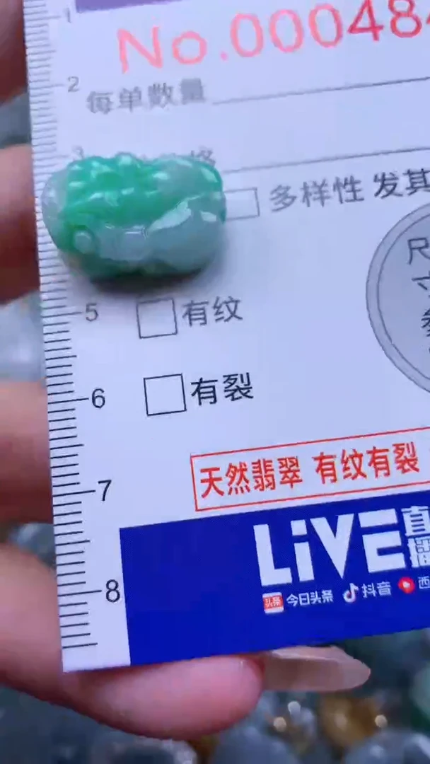 翡翠未镶嵌吊坠(不含链)4848
