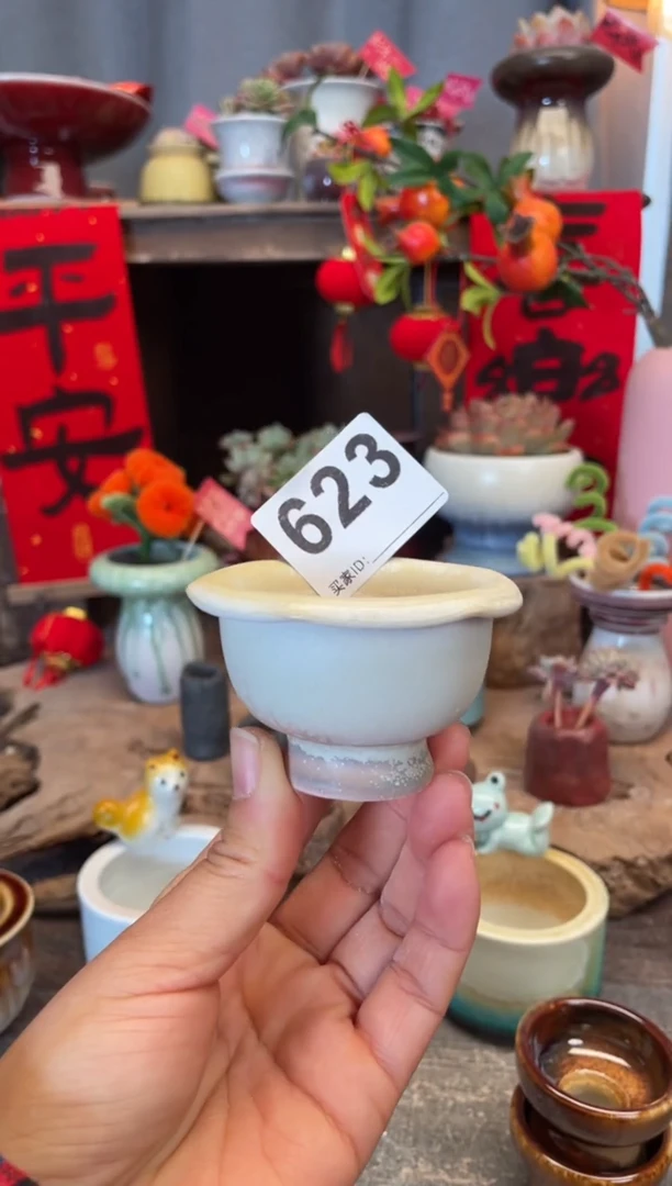 【闪购商品】摆件623知木小芳花盆