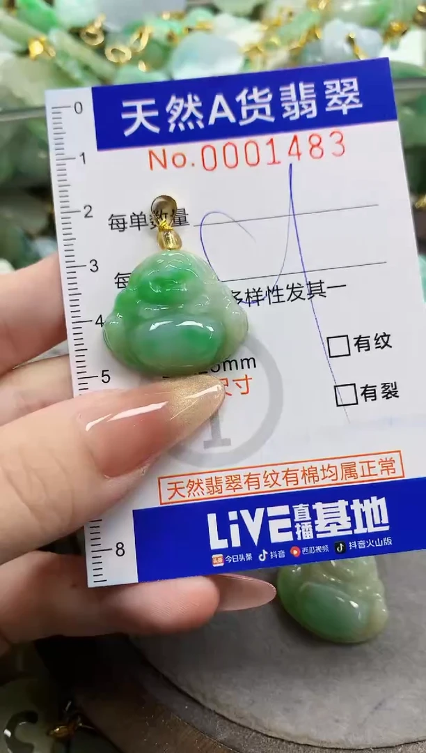 颈饰未镶嵌翡翠油***太天然A货翡翠