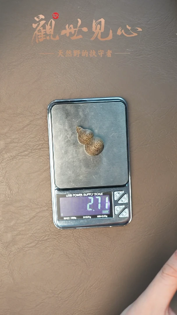 沉香沉香碎屑文莱小葫芦  2.7g