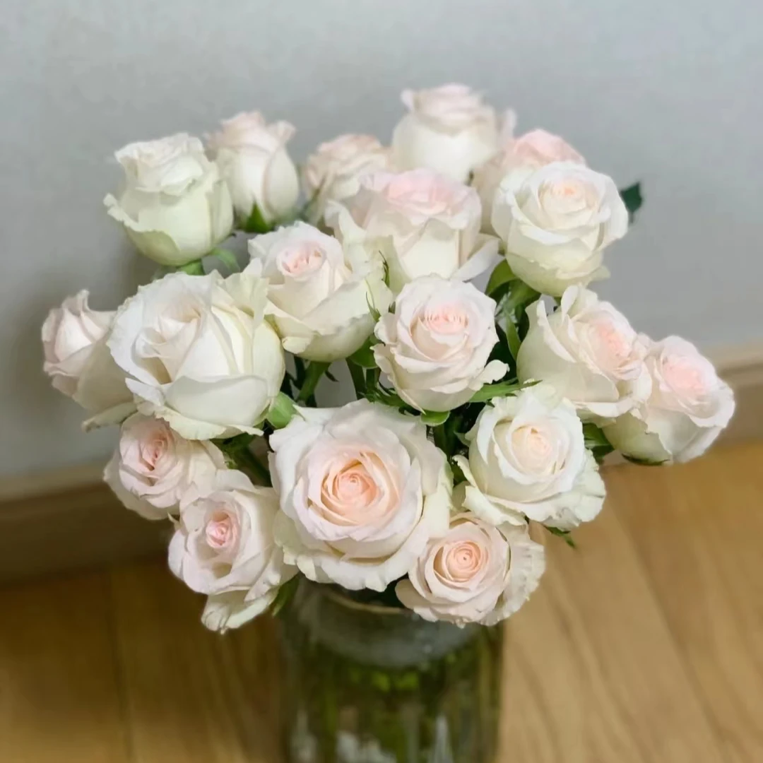 套餐55小头小白兔玫瑰10支+小天使康乃馨10支+白色单瓣紫罗兰一把