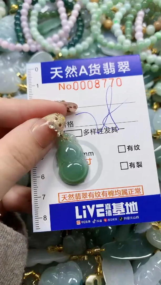 颈饰未镶嵌翡翠天然A货翡翠