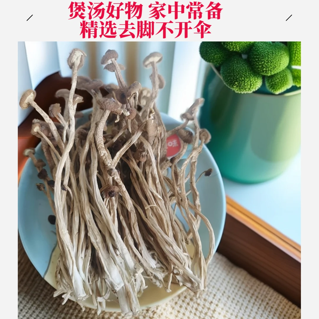广昌精选茶树菇鹿茸菇新鲜不开伞去脚茶树菇农家批发干货