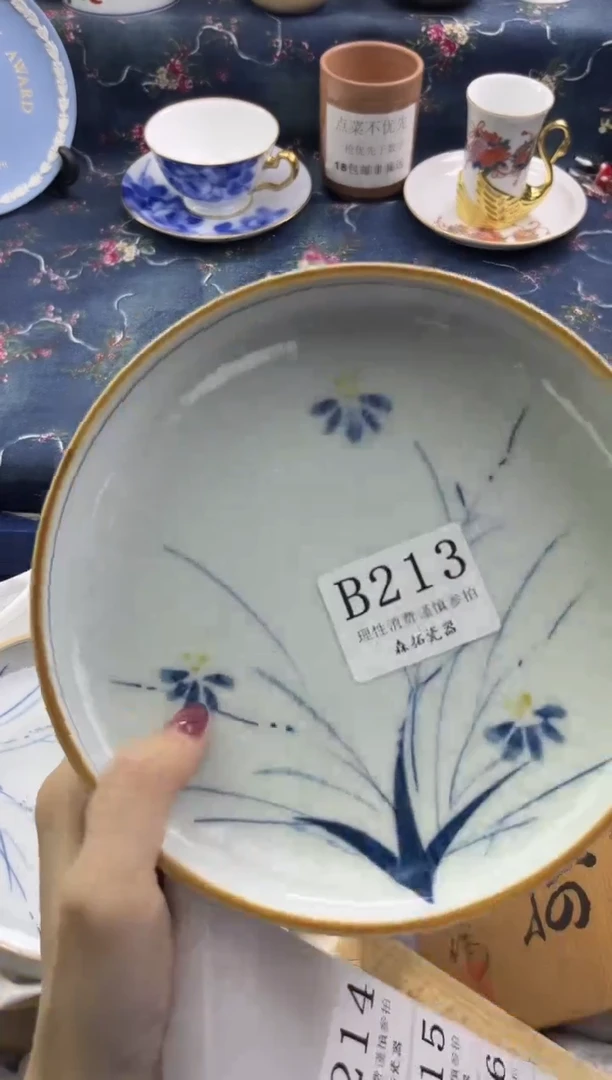 瓷片          B215