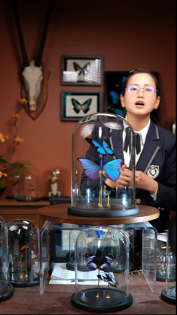 ￴*Q45    三款蝴蝶组合玻璃罩款