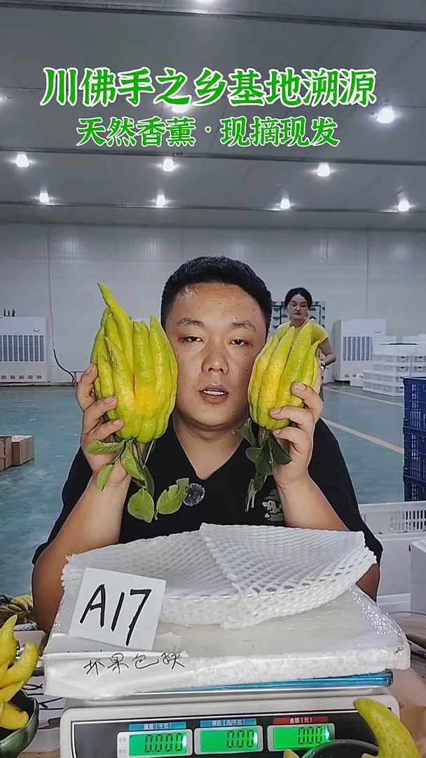 柑橘【一物一拍】川佛手柑鲜果A17