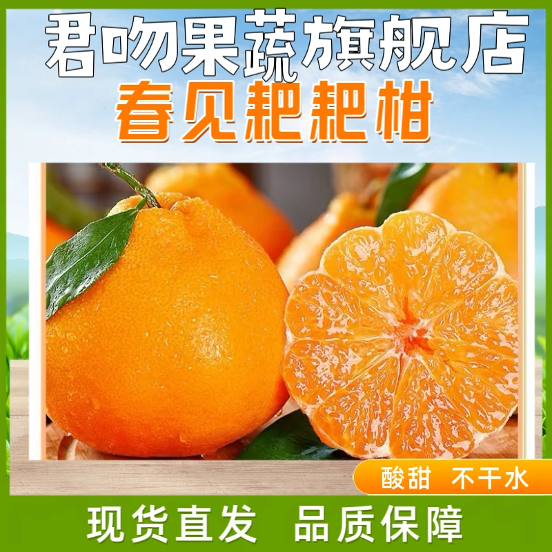 GT正宗四川春见耙耙柑新鲜柑橘应季水果产地直发酸甜可口皮薄多汁