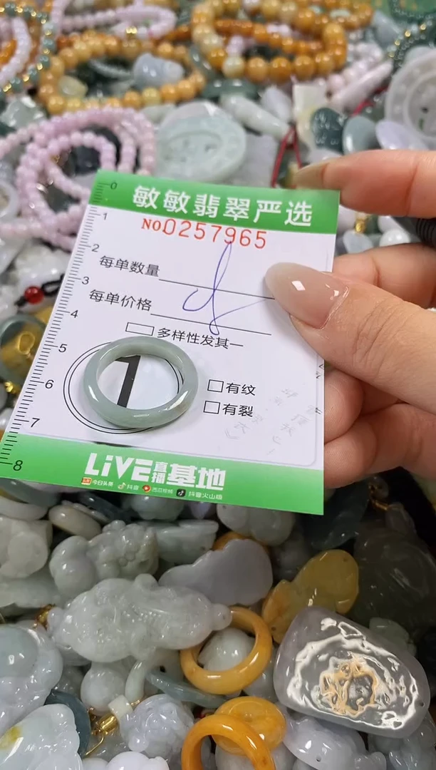 翡翠未镶嵌颈饰闪购0257965
