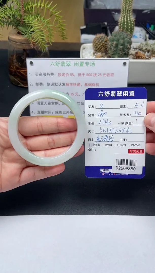 翡翠手镯未镶嵌D2509880