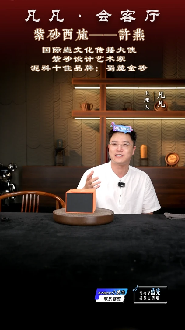 茶壶紫砂凡凡会客厅 紫砂壶01