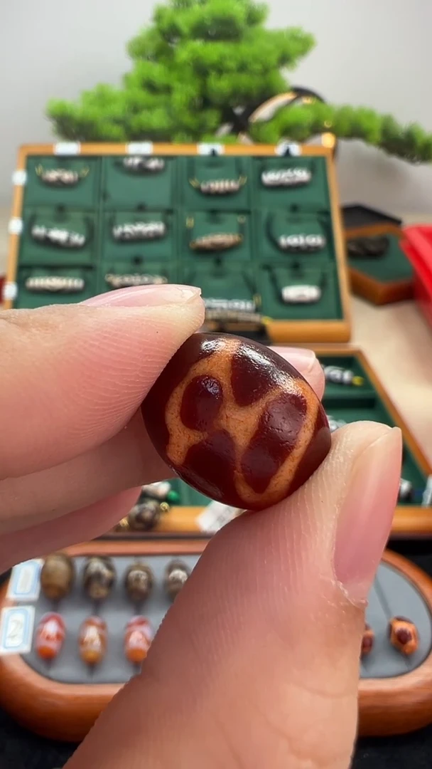 玛瑙/玉髓（覆膜）颈饰未镶嵌110.（微瑕随机发货）