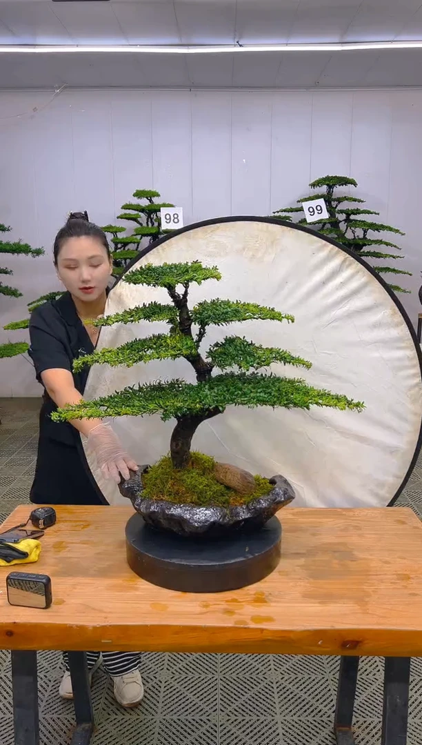 无花朵一物一拍一物一拍