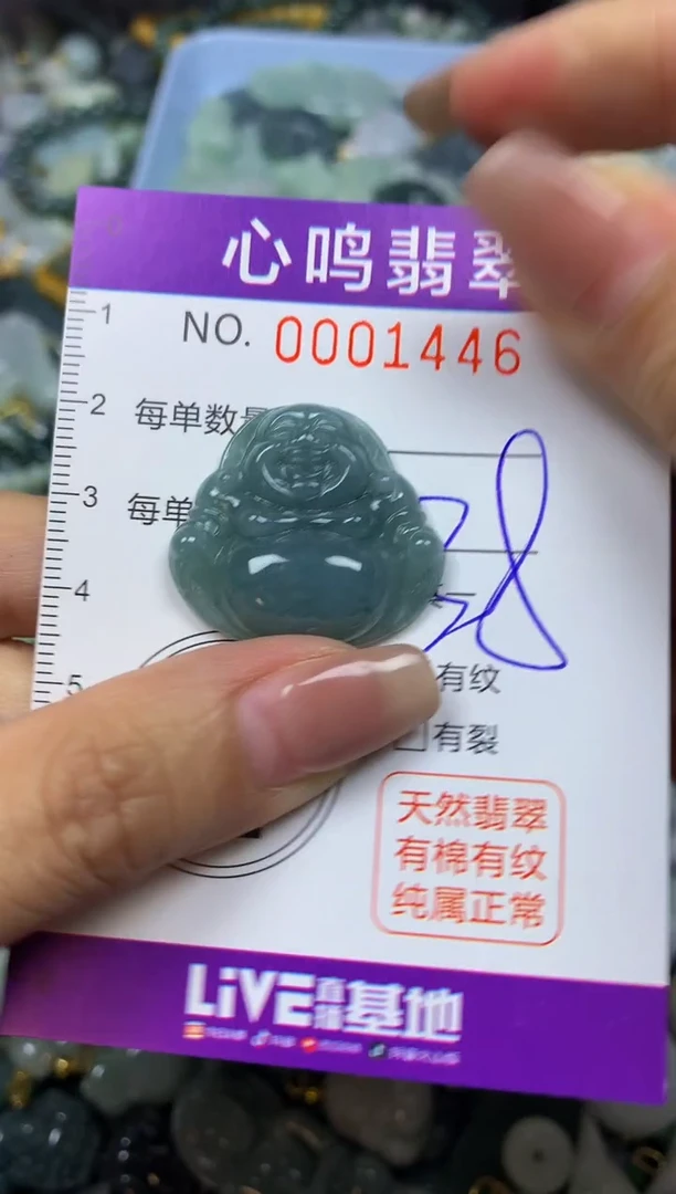 翡翠未镶嵌颈饰闪购001446