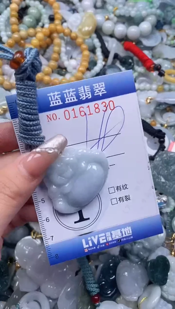 【闪购商品】翡翠颈饰未镶嵌闪购0161830多样性发其一