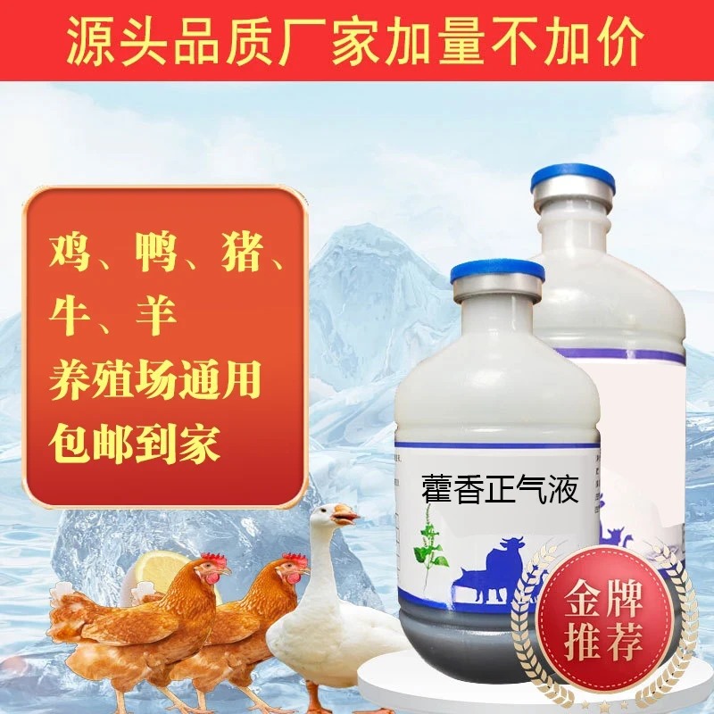 【藿香正气液】鸡鸭鹅解暑降温兽用畜禽猪牛羊中暑养殖专用lk