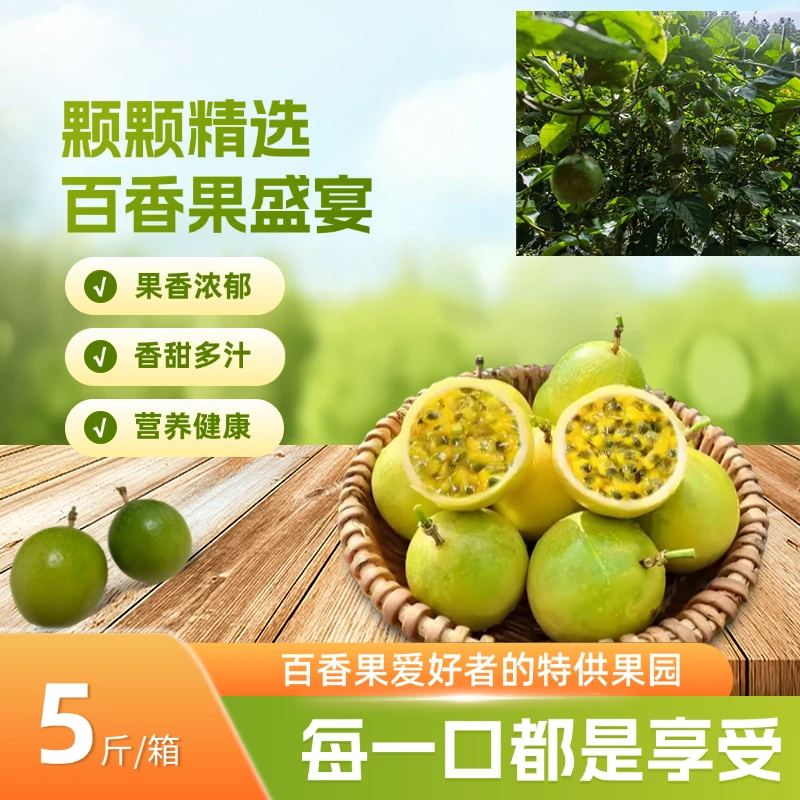 贵州从江黄金大果百香果新鲜钦蜜香甜多汁当季现摘现发五斤装包邮