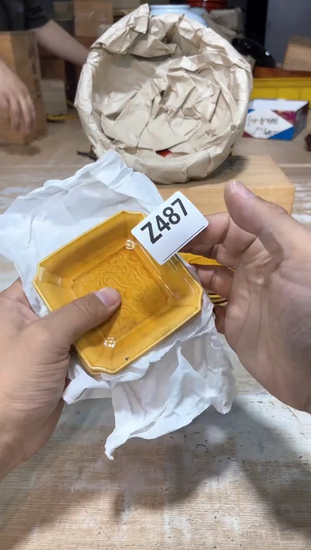 直播定闪专用链接