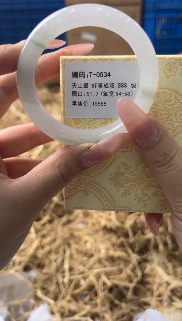 未镶嵌手镯石英质玉T0534