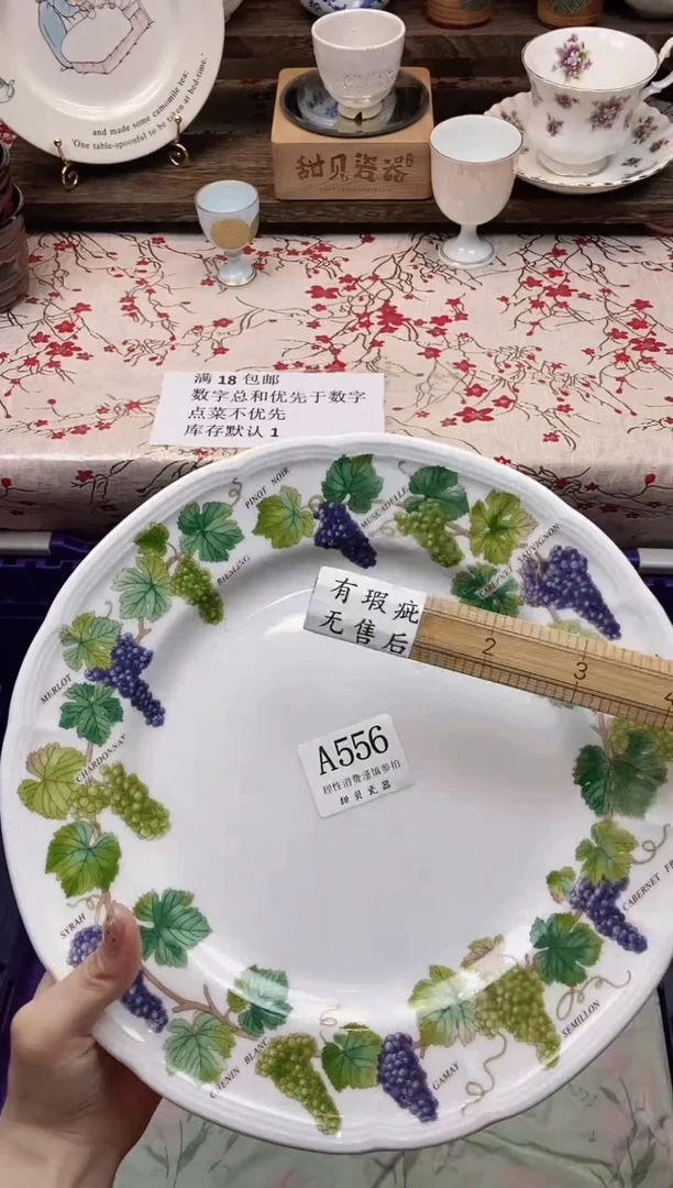 瓷片#*九      A556