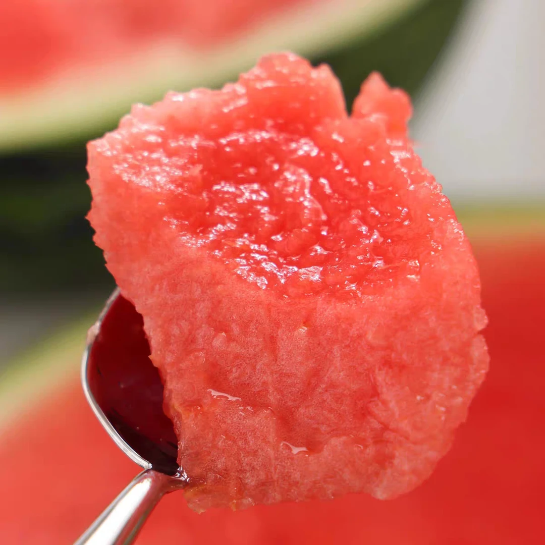 【达吾水果】暴甜甘美4k西瓜1个装5斤起(同城骑手配送到家)广东省