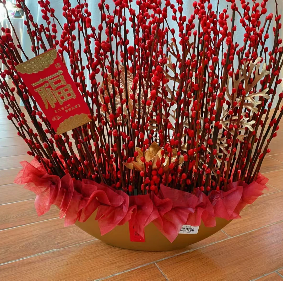 【银柳】年宵花红红火火