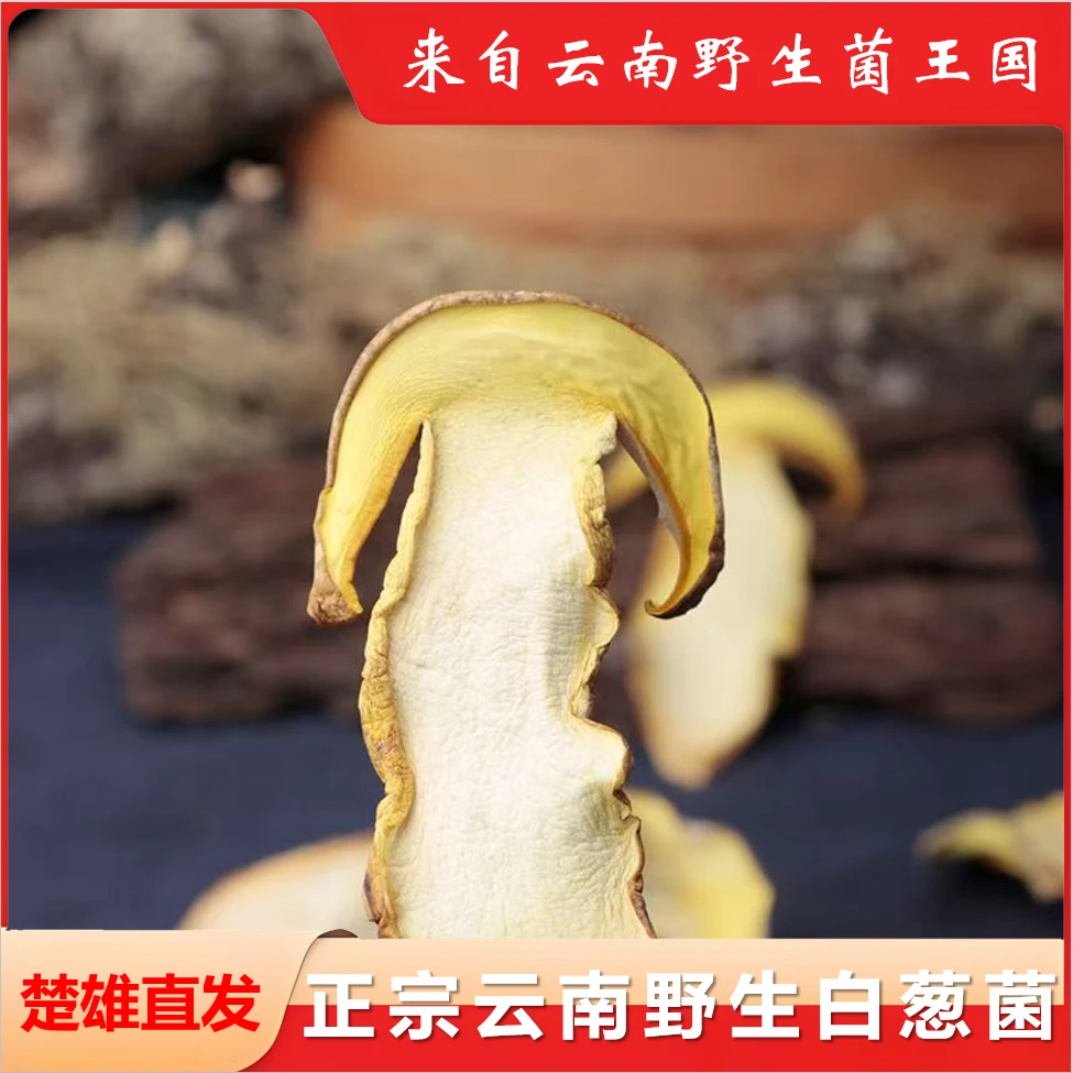 正宗云南野生白葱菌牛肝菌100g装味道浓郁炖鸡汤的菌类调料包