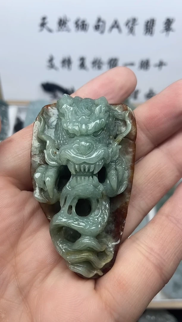 颈饰未镶嵌翡翠龙牌